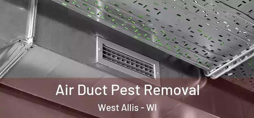  Air Duct Pest Removal West Allis - WI