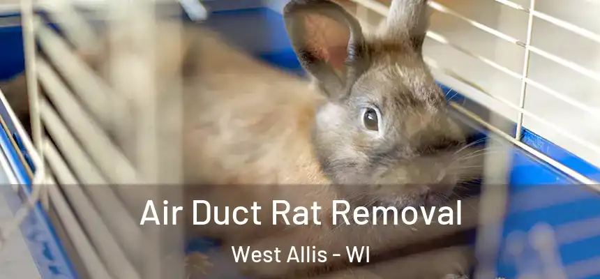  Air Duct Rat Removal West Allis - WI