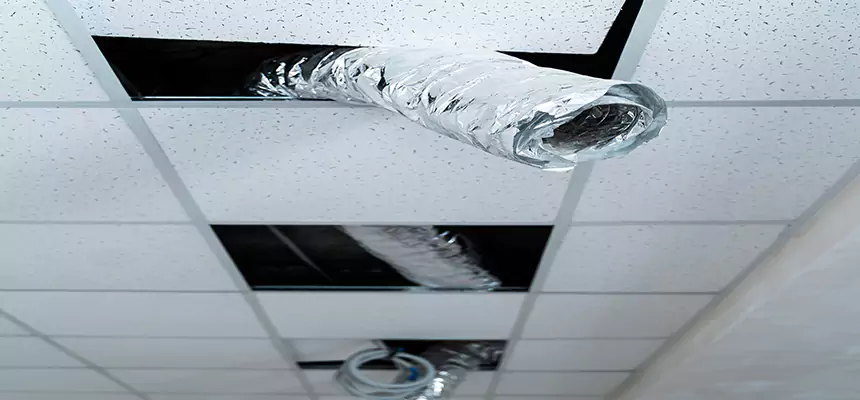 Our Air Duct Pet Hair Removal Services in West Allis, WI