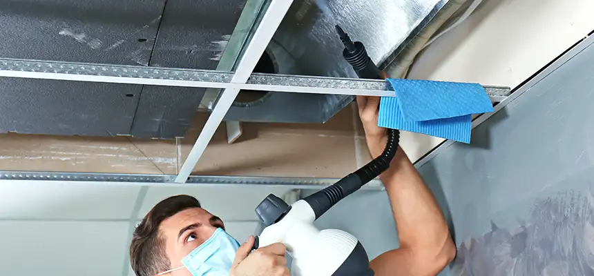 Our Air Duct Rodent Removal Services in West Allis, WI