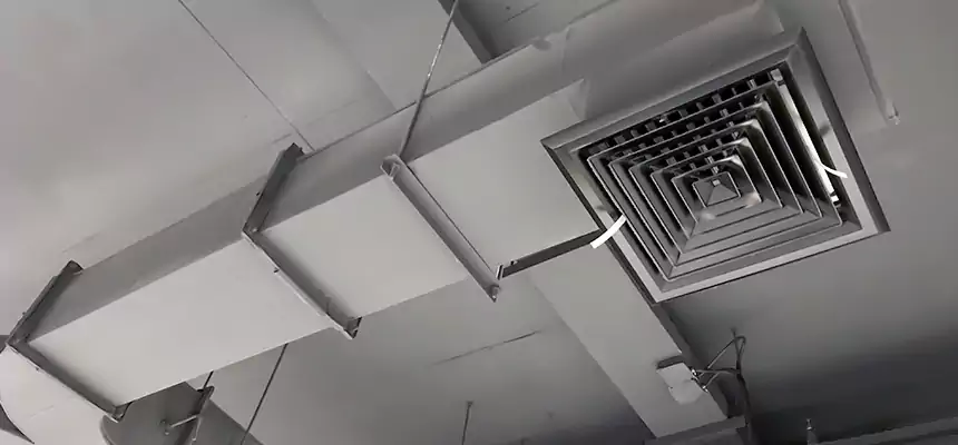 Restorative Allergy Relief Vent Cleaning – Coil, Blower & Housing Detail in West Allis