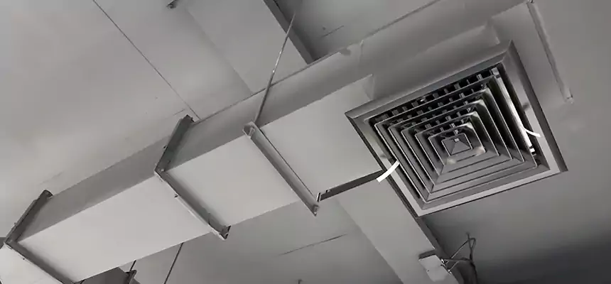 Our Rodent Droppings In Vents Services in West Allis, WI