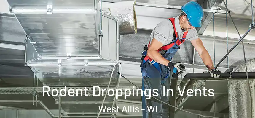  Rodent Droppings In Vents West Allis - WI