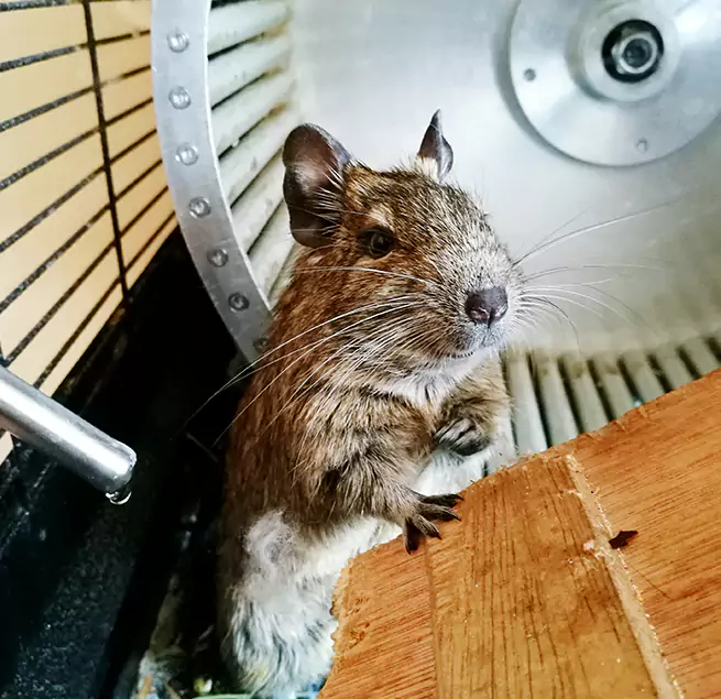 Why Homeowners & Businesses Trust Us West Allis, WI